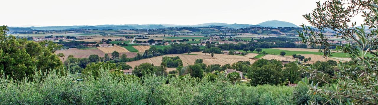 Agriturismo La Palazzetta Di Assisi Villa Exteriör bild